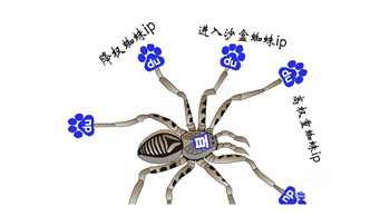 百度蜘蛛是什么？