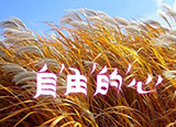 如何加快網(wǎng)站的訪問速度？